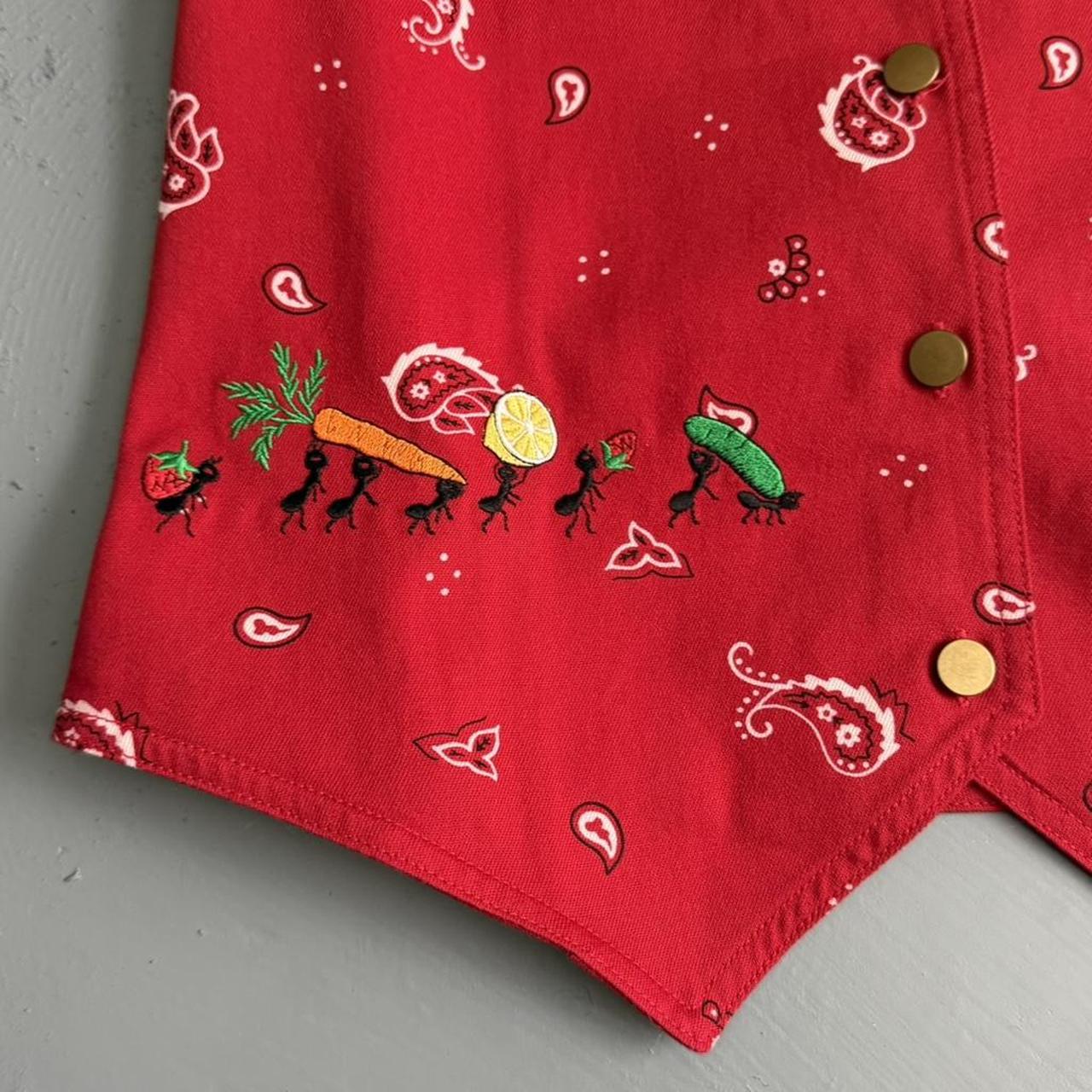 VINTAGE RED BANDANA PICNIC BUTTON VEST 🐜🐜🐜🍉🌭🥕🫛